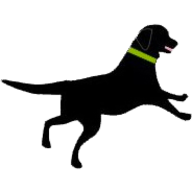 DogSolutions