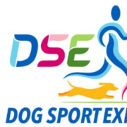 Dog Sport Experience