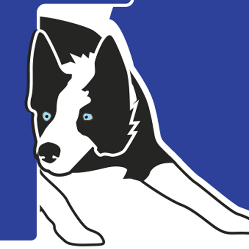Dog Training Online