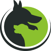 Doguniversity