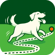 Dog Walks Near Me