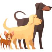 DogWeb