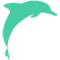 Dolphin Dynamics