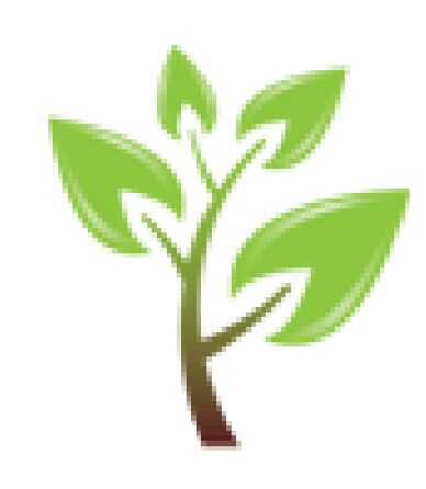 Donoma Software