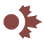 dotCanada