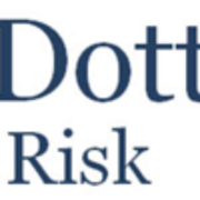 Dott Risk
