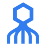 Secret Double Octopus