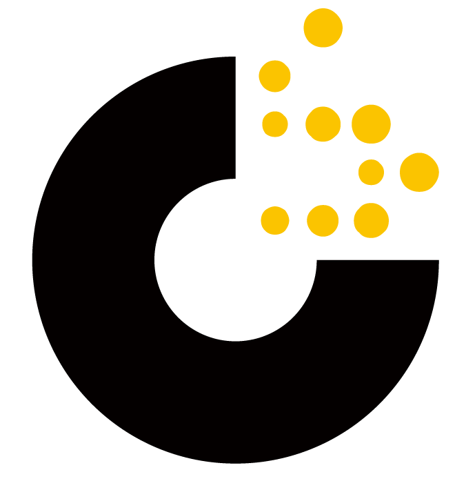 DragonSoft Security Associates Inc.