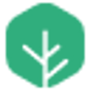 Dryad Networks