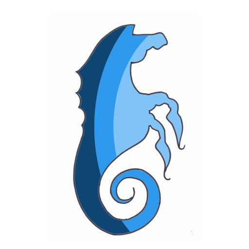 DSApp