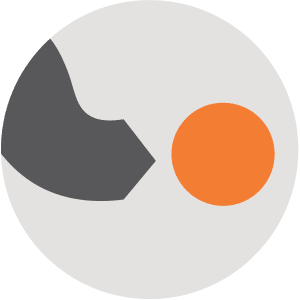 DSAR.ai