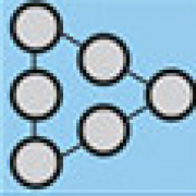 DSI International