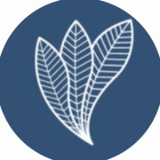 Digital Shape Technologies