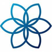 DTS Consulting