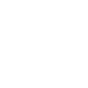 Dub Haven