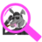 DunkSearch