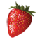 DVO