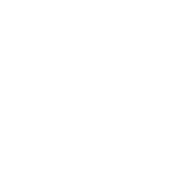 DVRef