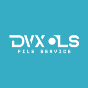 DVX Performance