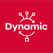 Dynamic Study