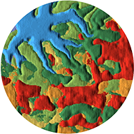 Dynamic World
