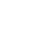 e-Avize