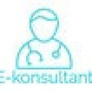 E-konsultant