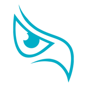 Eagle Eye