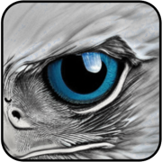 Eagle Eyes Search
