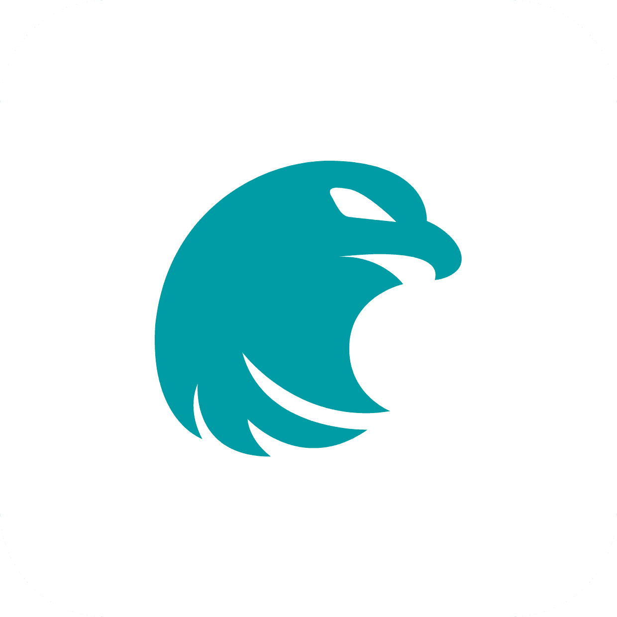 Eagle INSPECT