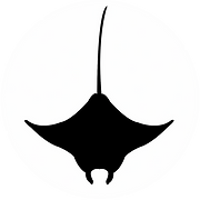 Eagle Ray Robotics