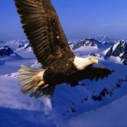 Eagle’s View