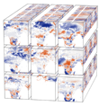 Earth System Data Lab
