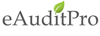 eAuditPro