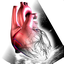 EchoConcept