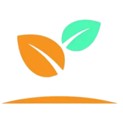 Eco Software Solutions