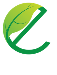 E Drives