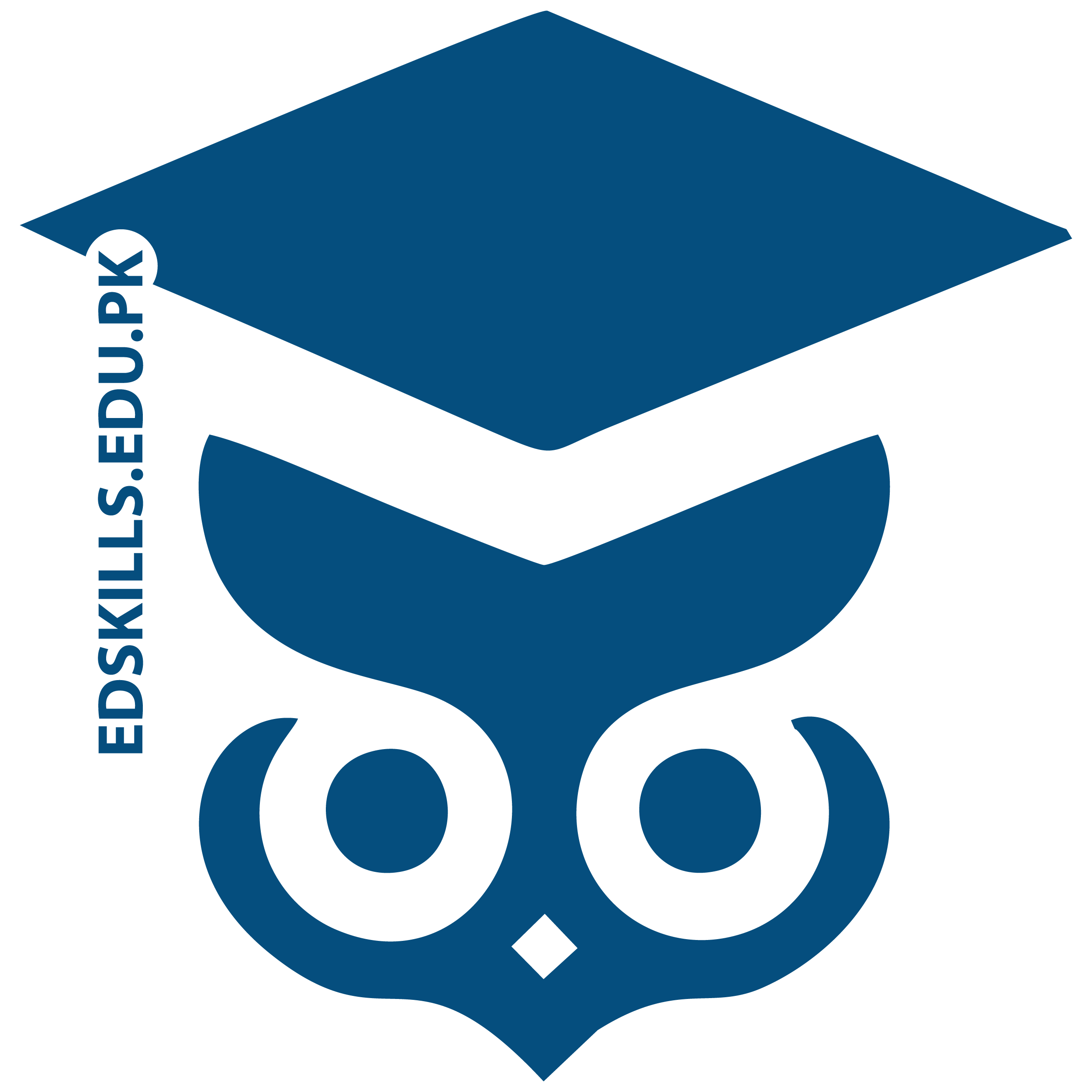 EdSkills
