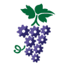 Efficient Vineyard