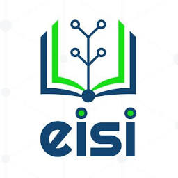 Electronic Information Solutions Inc