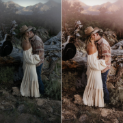 Embrace Presets
