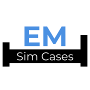 EM Sim Cases