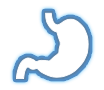 EndoScript
