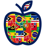 Ensinar Português