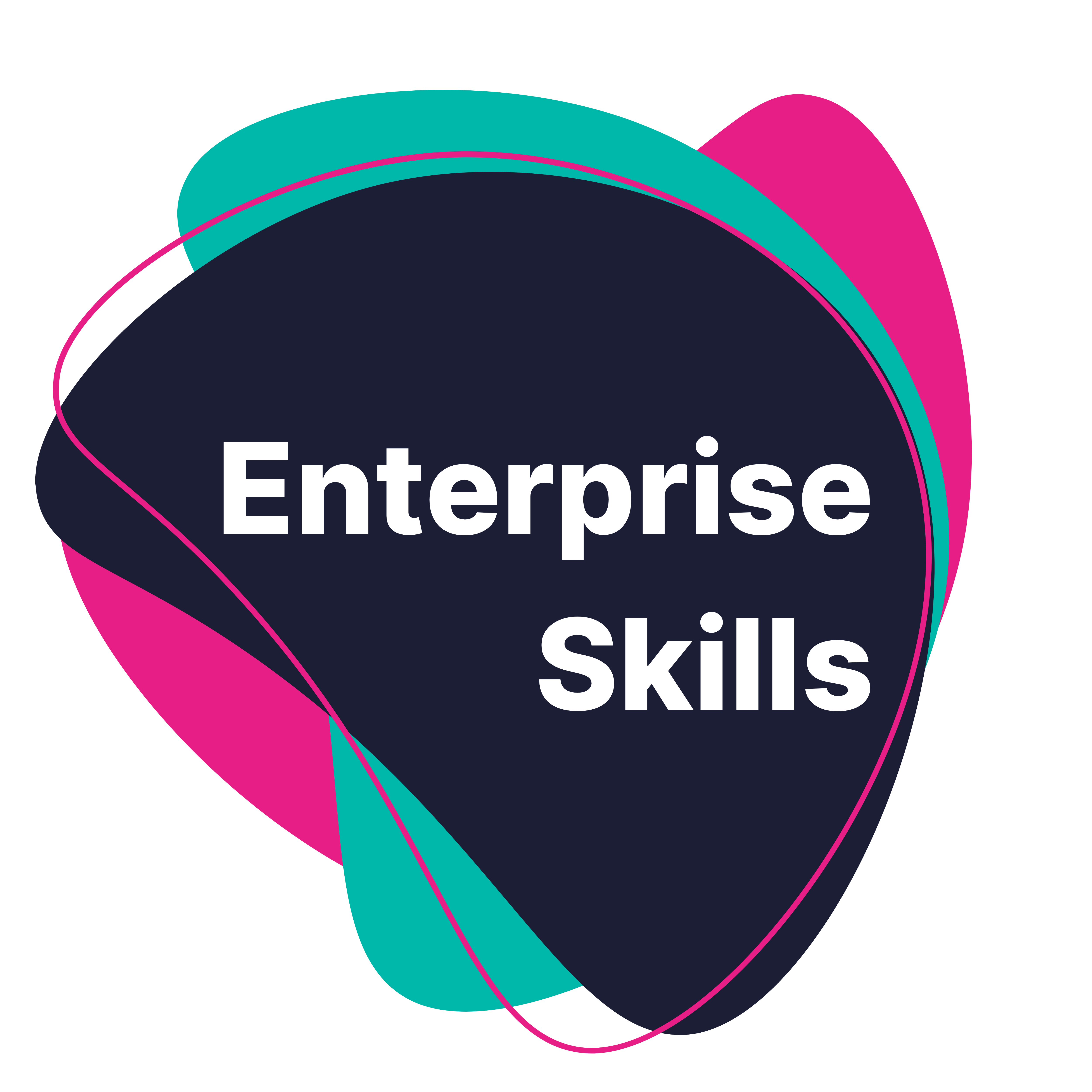 Enterprise Skills