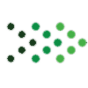 Electronic Payment Systems
