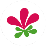 Erodium