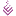 ERPViet