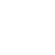 ESG Reports