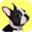 EveryDoggy